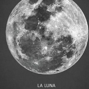 Meet your Posher, Liz